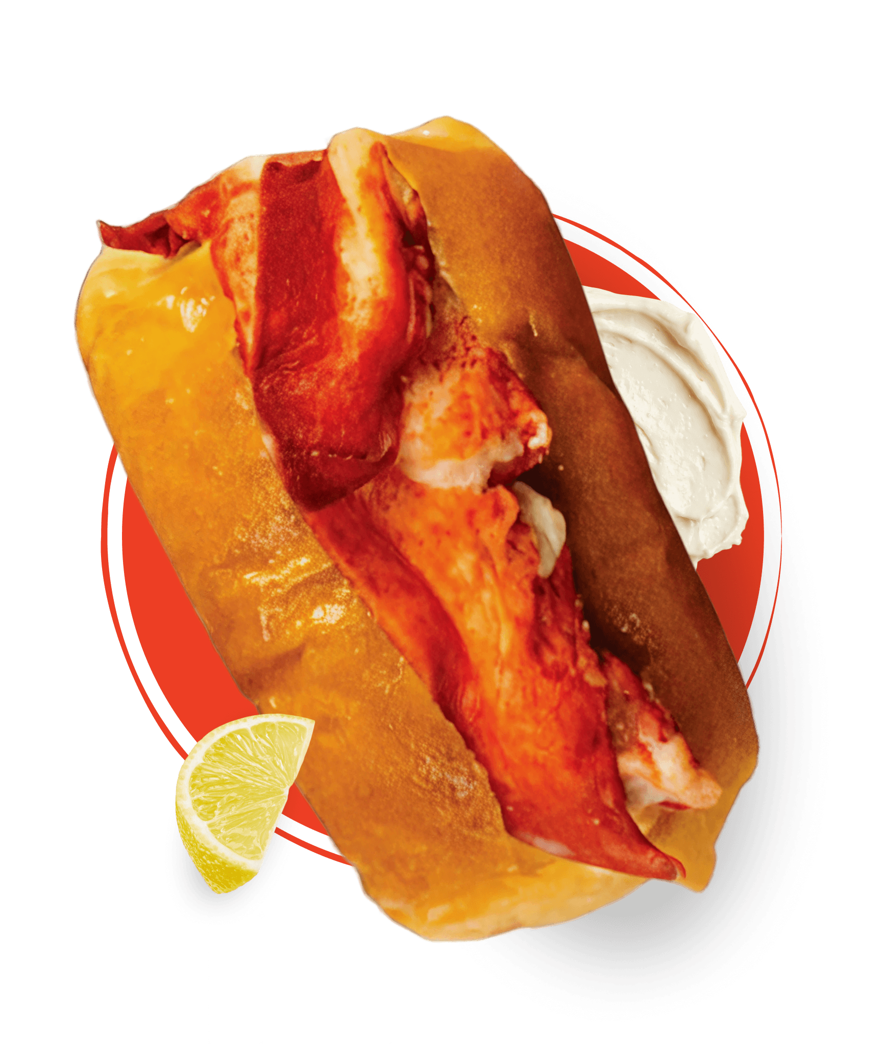 Maine Roll lobster roll