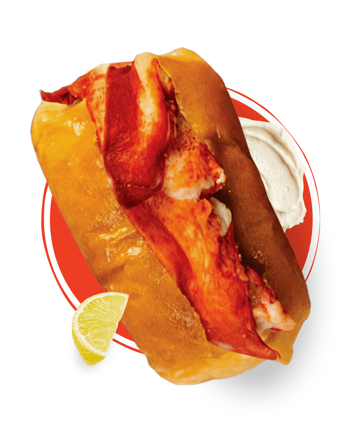 Maine Roll lobster roll